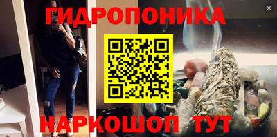 крисы Пушкино