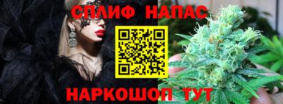 прущая мука Пугачёв