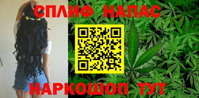 прущая мука Пугачёв