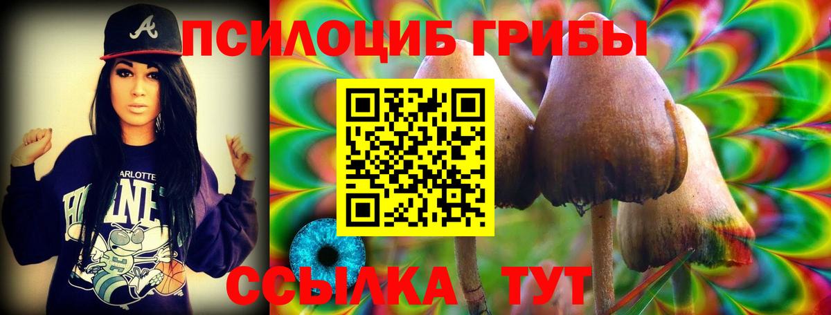 Псилоцибиновые грибы Magic Shrooms  Вход с VPN  Псилоцибиновые грибы ЛСД  купить   Сургут 